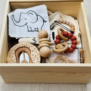 NEW Gender Neutral Gift Box - Newborn Wooden Developmental Toys Baby Shower Gift